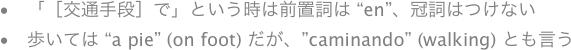 　「［交通手段］で」という時は前置詞は “en”、冠詞はつけない
　歩いては “a pie” (on foot) だが、”caminando” (walking) とも言う